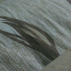 Meet your Posher, Daisy